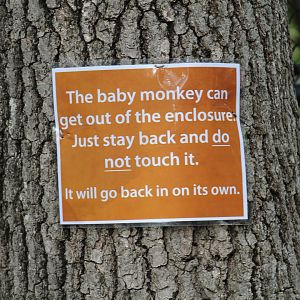 Sign About Guenon Escapes