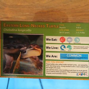 Eastern Snake-Necked Turtle Signage