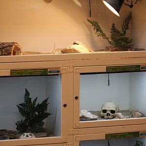 Small Herp Terrariums