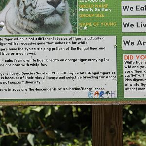 White Tiger Signage