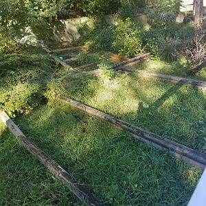 Spider Tortoise Enclosures