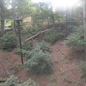 Ree Park - Leopard exhibit