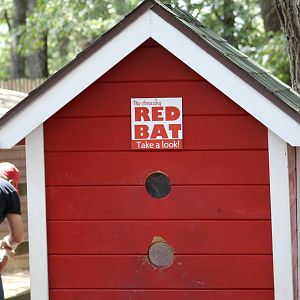 Red Bat House