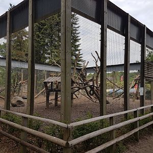 Other part Barbary monkey-enclosure