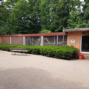 Raccoon dog-enclosure