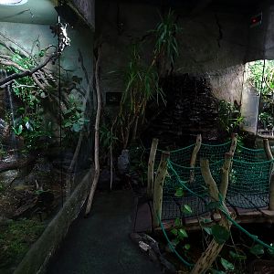 Terrarium building; Frog enclosures