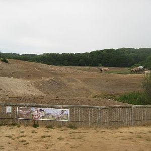 Ree Park - Asian plain