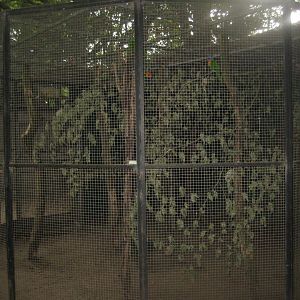 Ree Park - Lorikeet aviary