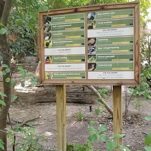 walk-thru Forest Aviary sign
