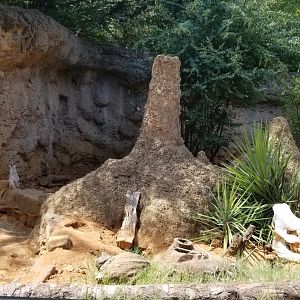 part of meerkat exhibit