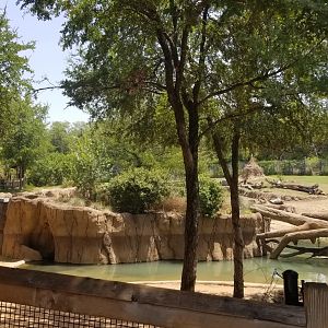 View of giraffe exhibit