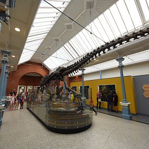 New reptile house - interior