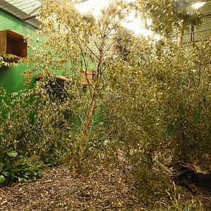 S-American house - interior