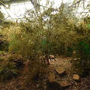 S-American house - interior