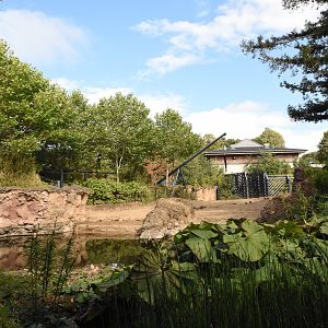 Elephant bull enclosure