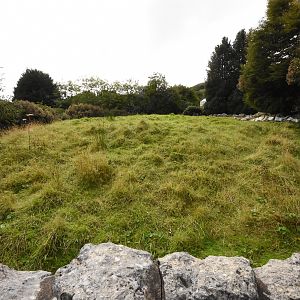 Prairie dog enclosure
