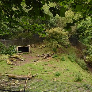 Porcupine enclosure