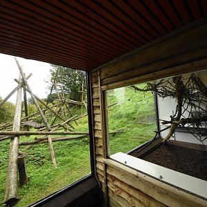 Ring-tailed lemur enclosure