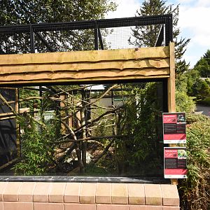 new Callichtrid enclosure