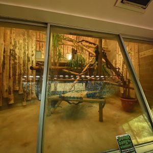 Monkey indoor enclosure