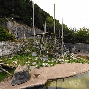 Spectacled bear enclosure