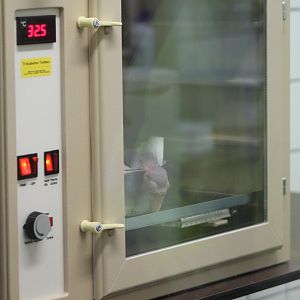 Incubator with baby Toco toucan