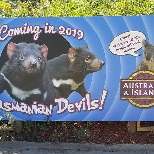 Tasmanian devils coming in 2019