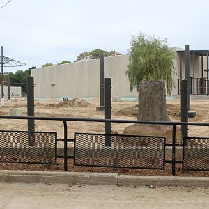 Adventure Africa Construction - African Elephant Exhibit