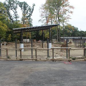 Adventure Africa Construction - Impala Plains (Impala, Zebra, African Crowned-Crane)