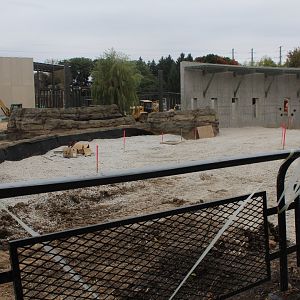 Adventure Afria Construction - African Elephant Exhibit