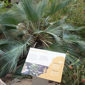 Signage error at Burger's Desert