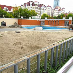 Asian elephant exhibit