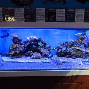 Marine aquarium 2