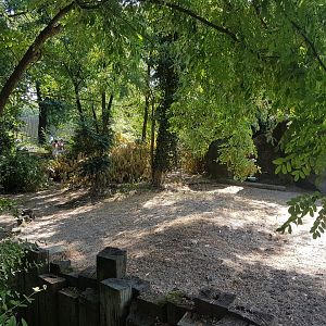 Part Blue duiker-enclosure