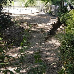 Part Blue duiker-enclosure