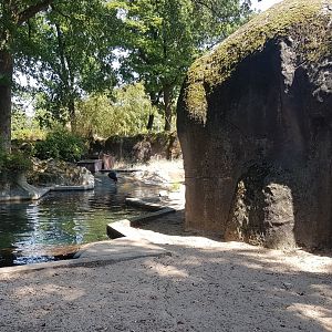 Enclosure Ringed seal