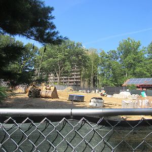 Pride of Africa Construction Update