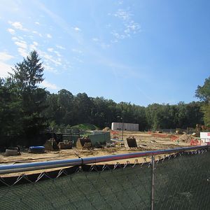 Pride of Africa Construction Update