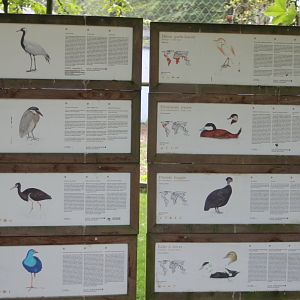 Bird-signs Free-flight aviary