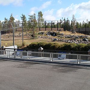 grizzly bear exhibit