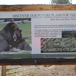 future grizzly bear expansion