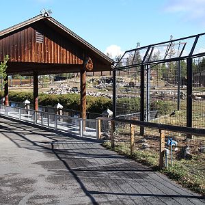 grizzly bear exhibit