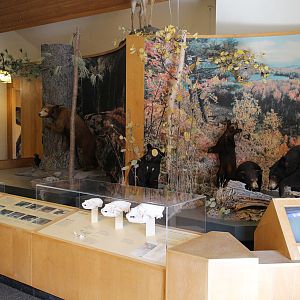 indoor education building