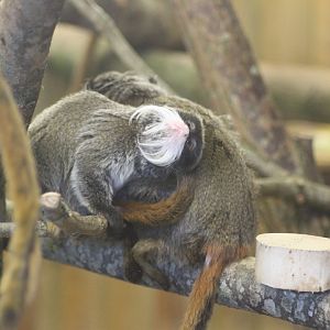 Things often look better sideways up