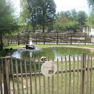 Cologne Zoo - Clemenshof - Chicken/duck exhibit