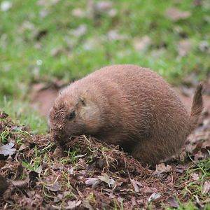 Not sure if this is Alan or Steve