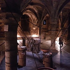 Egyptian fruit bat-walk through enclosure
