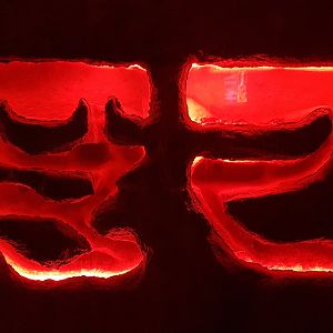 One of the Naked mole-rat enclosures