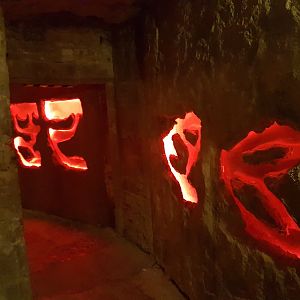 More Naked mole-rat enclosures