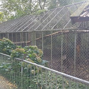 Small cat-enclosure - Lynx